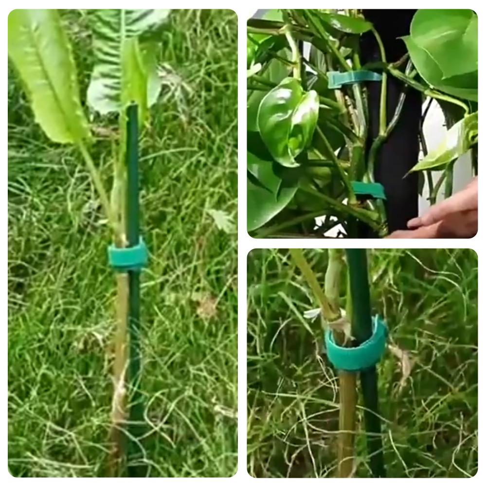 100 stuks herbruikbare verstel - Velcro Hook Loop recensie en prijs